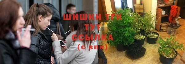 прущие грибы Беломорск