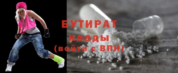 прущие грибы Беломорск
