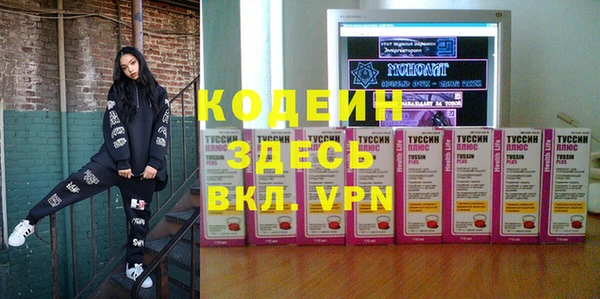 прущие грибы Беломорск