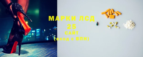 ПСИЛОЦИБИНОВЫЕ ГРИБЫ Грязовец