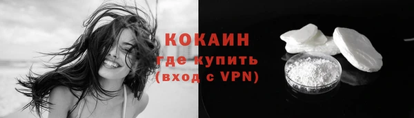 прущие грибы Беломорск