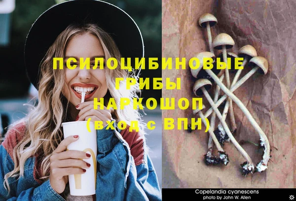марихуана Белокуриха