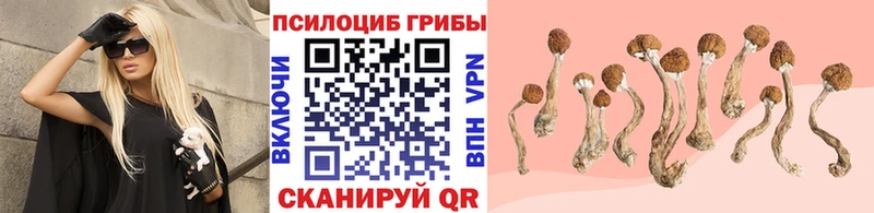 KRAKEN ссылки  Демидов  Галлюциногенные грибы MAGIC MUSHROOMS  закладки 